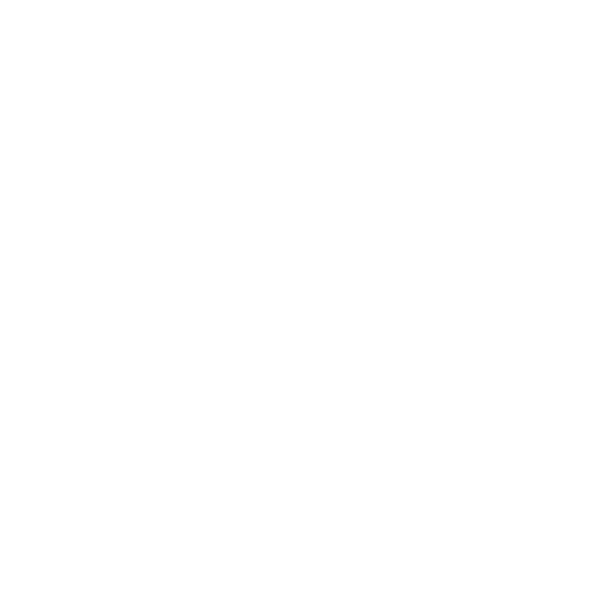 Seguridad en internet